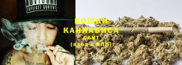 крисы Аркадак